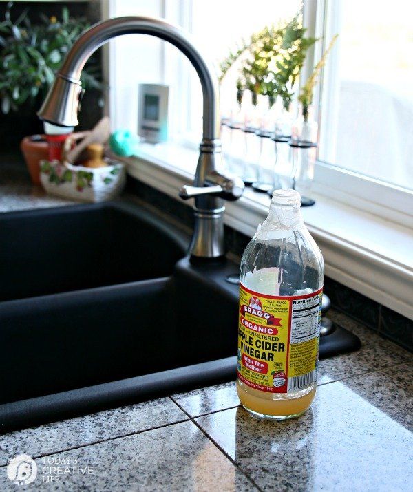 Use Apple Cider Vinegar Traps