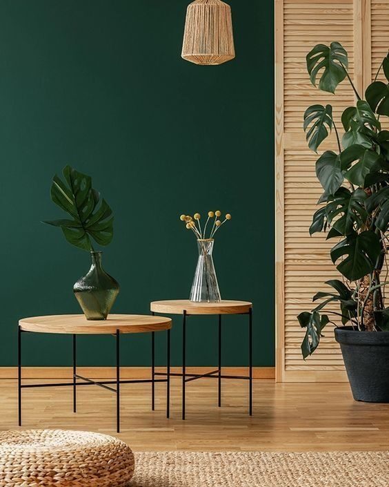 Green Colour Combination with Natural Wood Tones